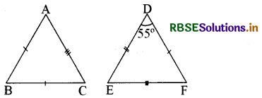 RBSE Class 9 Maths Important Questions Chapter 7 त्रिभुज 13