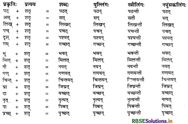 RBSE Class 10 Sanskrit व्याकरणम् प्रत्ययज्ञानम् 1