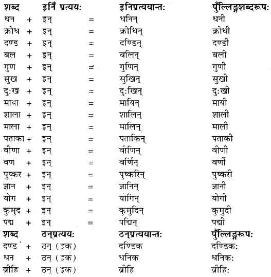 RBSE Class 10 Sanskrit व्याकरणम् प्रत्ययज्ञानम् 11