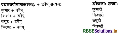 RBSE Class 10 Sanskrit व्याकरणम् प्रत्ययज्ञानम् 17