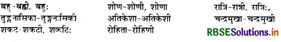 RBSE Class 10 Sanskrit व्याकरणम् प्रत्ययज्ञानम् 19