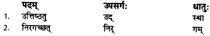RBSE Class 10 Sanskrit व्याकरणम् उपसर्गाः 1