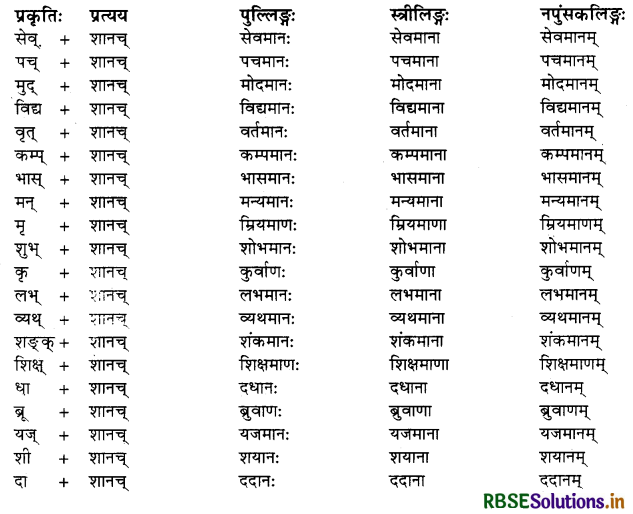 RBSE Class 10 Sanskrit व्याकरणम् प्रत्ययज्ञानम् 2