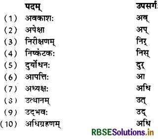 RBSE Class 10 Sanskrit व्याकरणम् उपसर्गाः 4