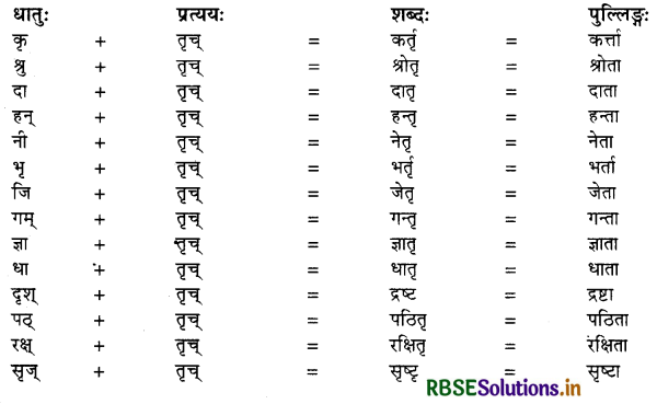 RBSE Class 10 Sanskrit व्याकरणम् प्रत्ययज्ञानम् 9