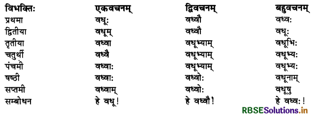 RBSE Class 10 Sanskrit व्याकरणम् शब्दरूपाणि 10