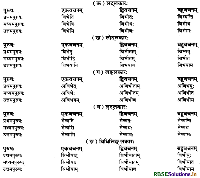 RBSE Class 10 Sanskrit व्याकरणम् धातुरूपाणि 10