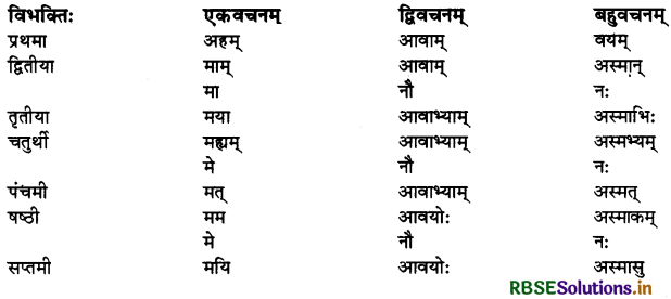RBSE Class 10 Sanskrit व्याकरणम् शब्दरूपाणि 11