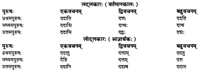 RBSE Class 10 Sanskrit व्याकरणम् धातुरूपाणि 11