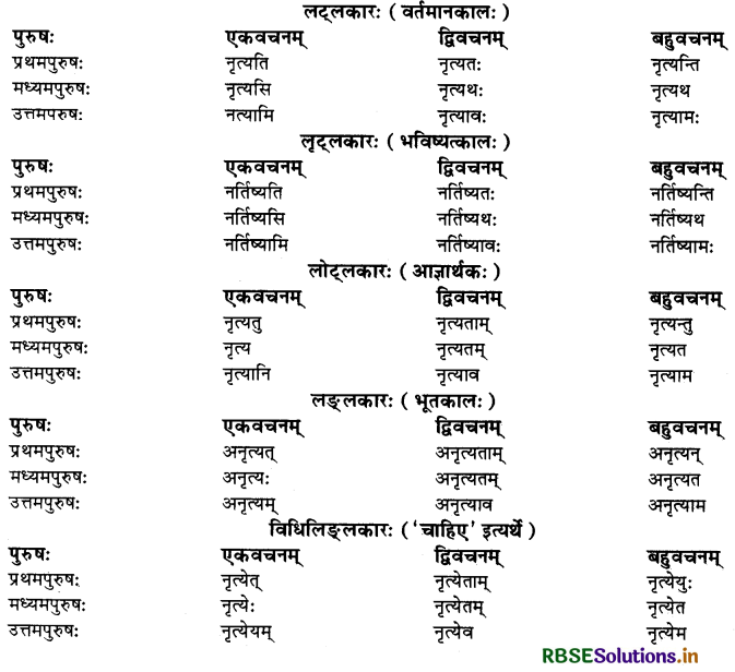 RBSE Class 10 Sanskrit व्याकरणम् धातुरूपाणि 13