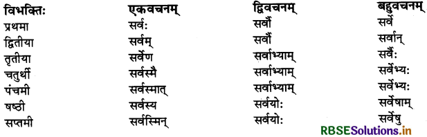 RBSE Class 10 Sanskrit व्याकरणम् शब्दरूपाणि 14