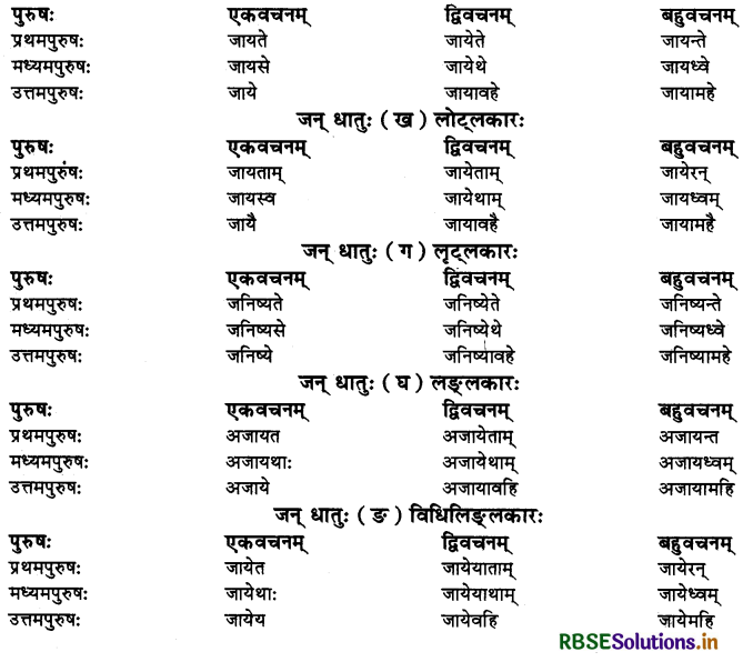 RBSE Class 10 Sanskrit व्याकरणम् धातुरूपाणि 14