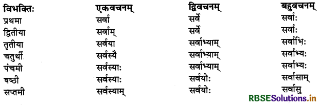RBSE Class 10 Sanskrit व्याकरणम् शब्दरूपाणि 15