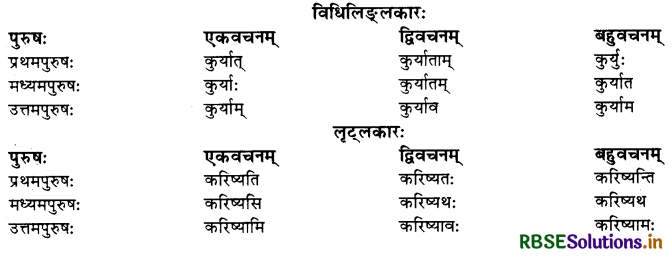 RBSE Class 10 Sanskrit व्याकरणम् धातुरूपाणि 16