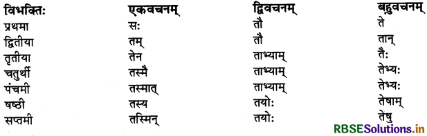 RBSE Class 10 Sanskrit व्याकरणम् शब्दरूपाणि 17