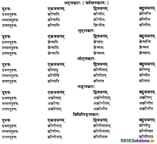 RBSE Class 10 Sanskrit व्याकरणम् धातुरूपाणि 17
