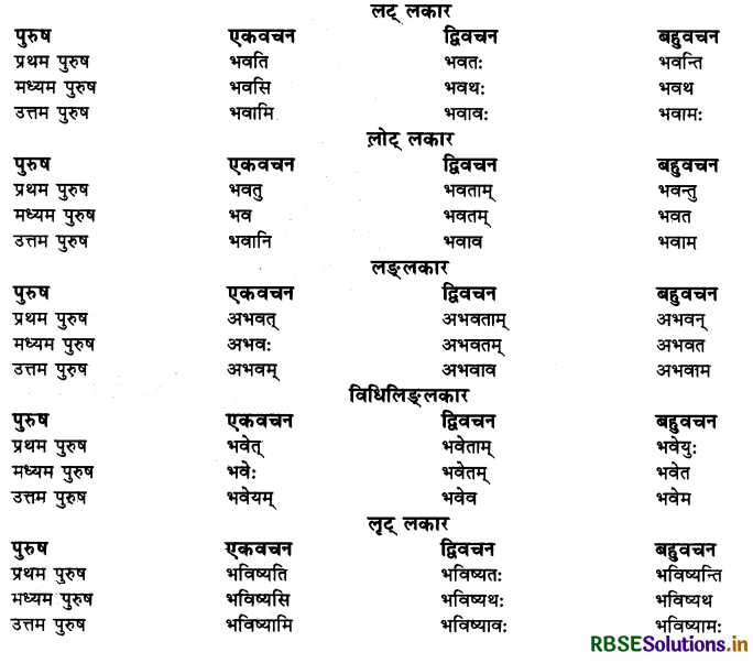 RBSE Class 10 Sanskrit व्याकरणम् धातुरूपाणि 1