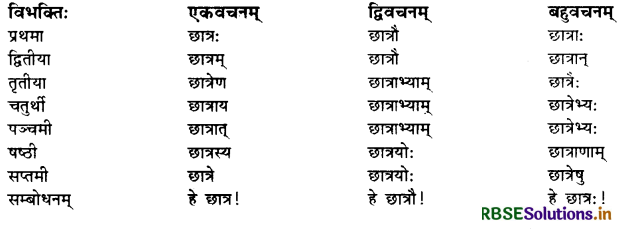 RBSE Class 10 Sanskrit व्याकरणम् शब्दरूपाणि 2