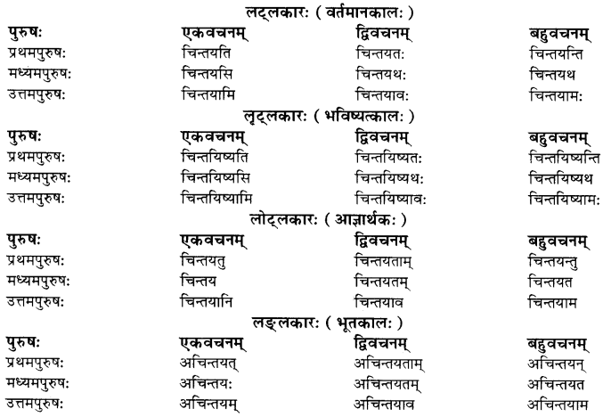 RBSE Class 10 Sanskrit व्याकरणम् धातुरूपाणि 20
