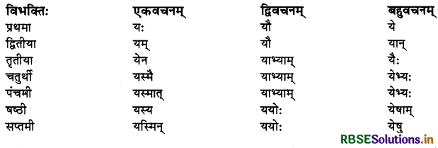 RBSE Class 10 Sanskrit व्याकरणम् शब्दरूपाणि 21
