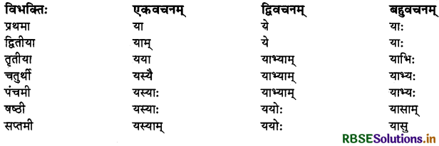 RBSE Class 10 Sanskrit व्याकरणम् शब्दरूपाणि 22