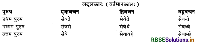 RBSE Class 10 Sanskrit व्याकरणम् धातुरूपाणि 23