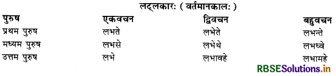 RBSE Class 10 Sanskrit व्याकरणम् धातुरूपाणि 24