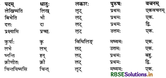 RBSE Class 10 Sanskrit व्याकरणम् धातुरूपाणि 25