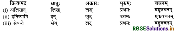 RBSE Class 10 Sanskrit व्याकरणम् धातुरूपाणि 26