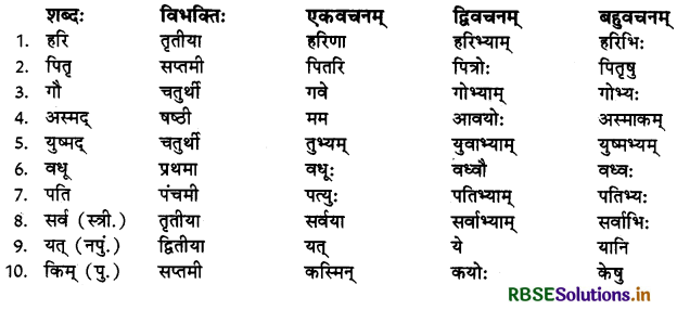 RBSE Class 10 Sanskrit व्याकरणम् शब्दरूपाणि 27