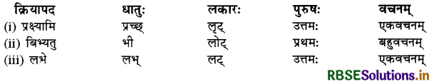 RBSE Class 10 Sanskrit व्याकरणम् धातुरूपाणि 27