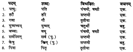 RBSE Class 10 Sanskrit व्याकरणम् शब्दरूपाणि 28