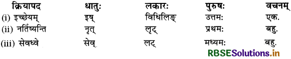 RBSE Class 10 Sanskrit व्याकरणम् धातुरूपाणि 28