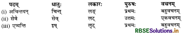 RBSE Class 10 Sanskrit व्याकरणम् धातुरूपाणि 29