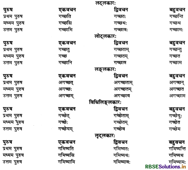 RBSE Class 10 Sanskrit व्याकरणम् धातुरूपाणि 2