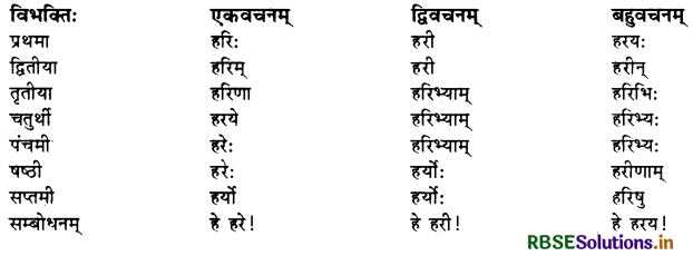 RBSE Class 10 Sanskrit व्याकरणम् शब्दरूपाणि 3