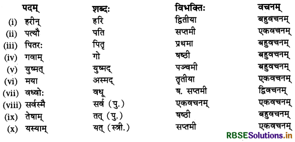 RBSE Class 10 Sanskrit व्याकरणम् शब्दरूपाणि 30