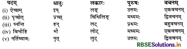 RBSE Class 10 Sanskrit व्याकरणम् धातुरूपाणि 31