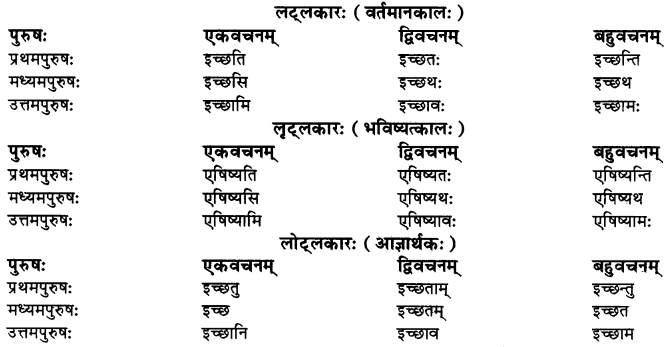 RBSE Class 10 Sanskrit व्याकरणम् धातुरूपाणि 3