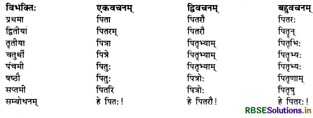 RBSE Class 10 Sanskrit व्याकरणम् शब्दरूपाणि 4