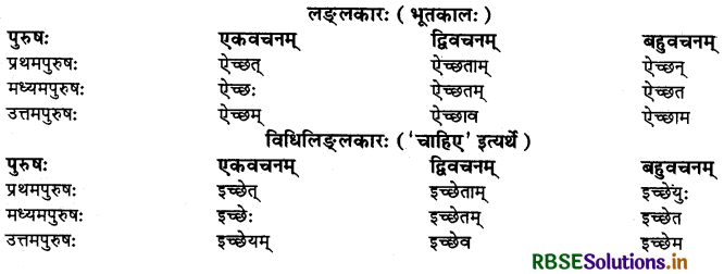 RBSE Class 10 Sanskrit व्याकरणम् धातुरूपाणि 4