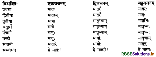 RBSE Class 10 Sanskrit व्याकरणम् शब्दरूपाणि 8