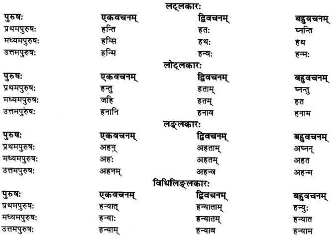 RBSE Class 10 Sanskrit व्याकरणम् धातुरूपाणि 8