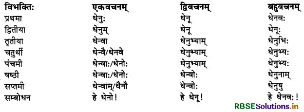 RBSE Class 10 Sanskrit व्याकरणम् शब्दरूपाणि 9