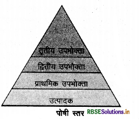 RBSE Class 10 Science Important Questions Chapter 15 हमारा पर्यावरण 3