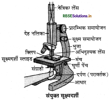 RBSE Class 9 Science Important Questions Chapter 5 जीवन की मौलिक इकाई 2