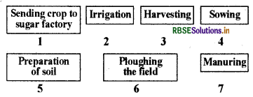 RBSE Solutions for Class 8 Science Chapter 1 Crop Production and Management 1