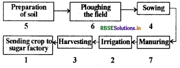 RBSE Solutions for Class 8 Science Chapter 1 Crop Production and Management 2