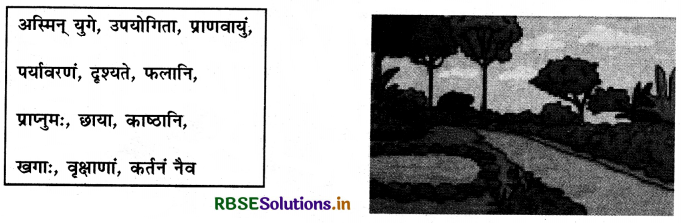 RBSE Class 10 Sanskrit रचनात्मक कार्यम् चित्राधारितम् वर्णनम् 2