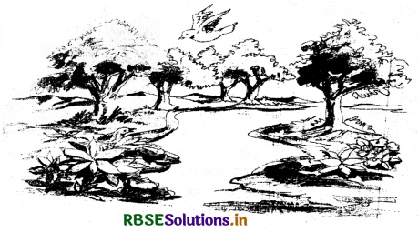 RBSE Class 10 Sanskrit रचनात्मक कार्यम् चित्राधारितम् वर्णनम् 5